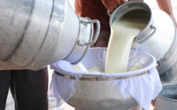 Dị ứng sữa bò, không thể uống nổi sữa tươi, bạn có giống tớ không?